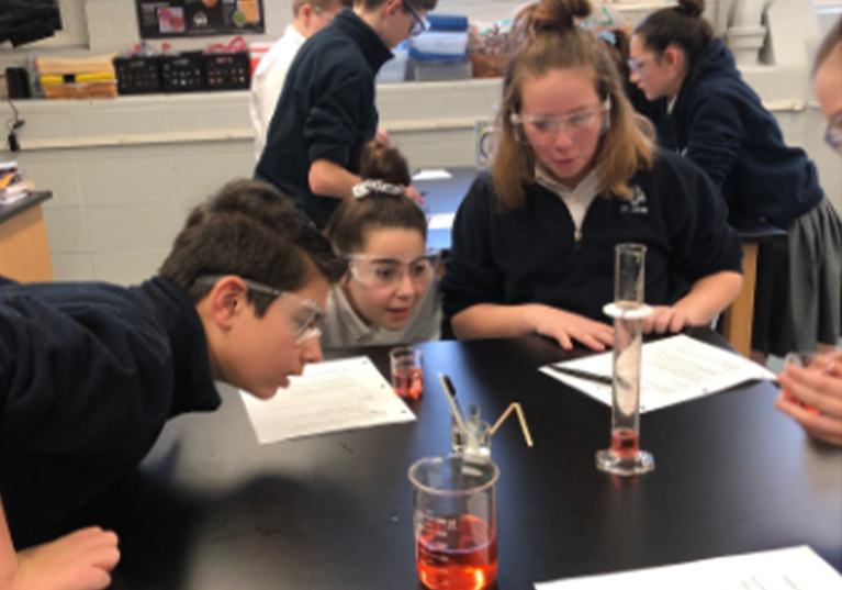 Grade 6-8 students in science class